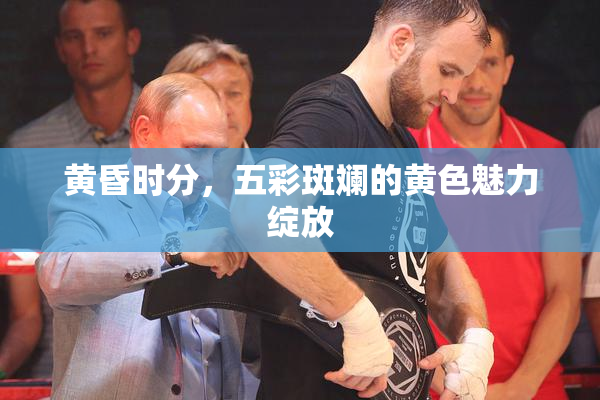 黄昏时分，五彩斑斓的黄色魅力绽放