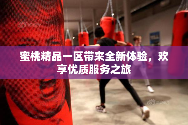 蜜桃精品一区带来全新体验，欢享优质服务之旅