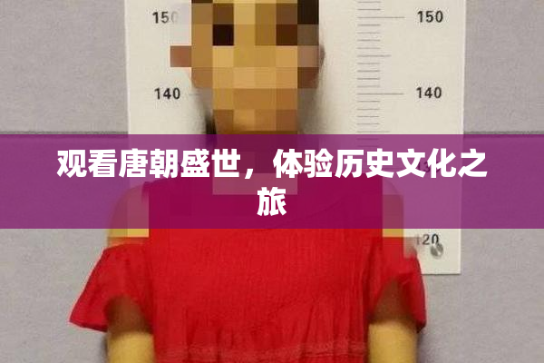 观看唐朝盛世，体验历史文化之旅