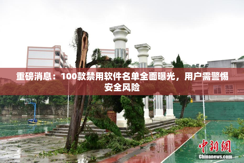 重磅消息：100款禁用软件名单全面曝光，用户需警惕安全风险