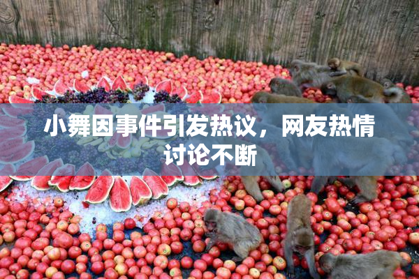小舞因事件引发热议，网友热情讨论不断