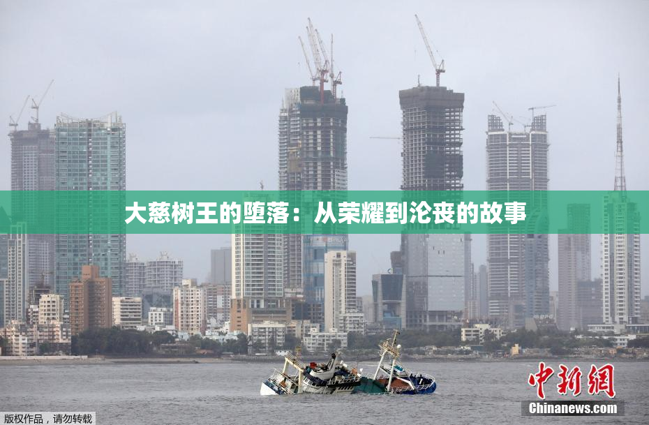 大慈树王的堕落：从荣耀到沦丧的故事
