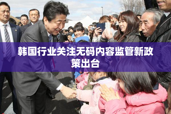 韩国行业关注无码内容监管新政策出台