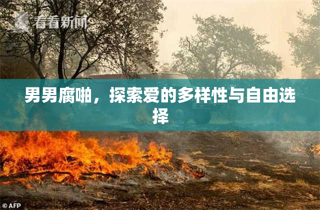 男男腐啪，探索爱的多样性与自由选择