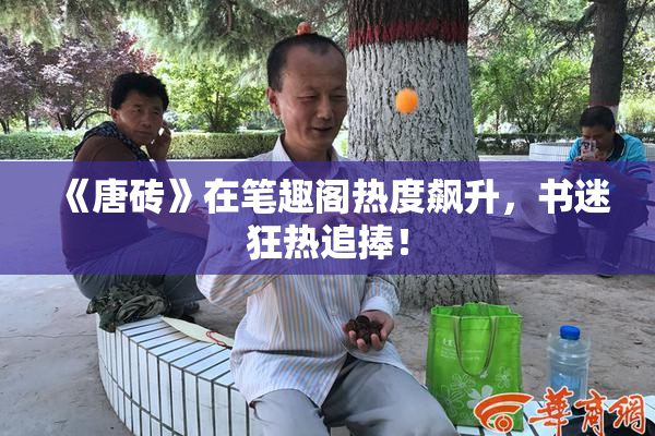 《唐砖》在笔趣阁热度飙升，书迷狂热追捧！