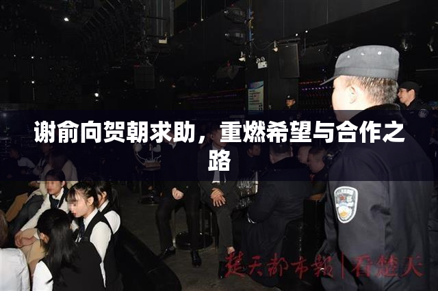 谢俞向贺朝求助，重燃希望与合作之路
