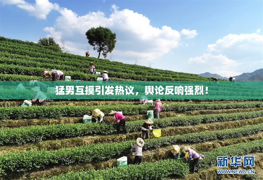 猛男互摸引发热议，舆论反响强烈！
