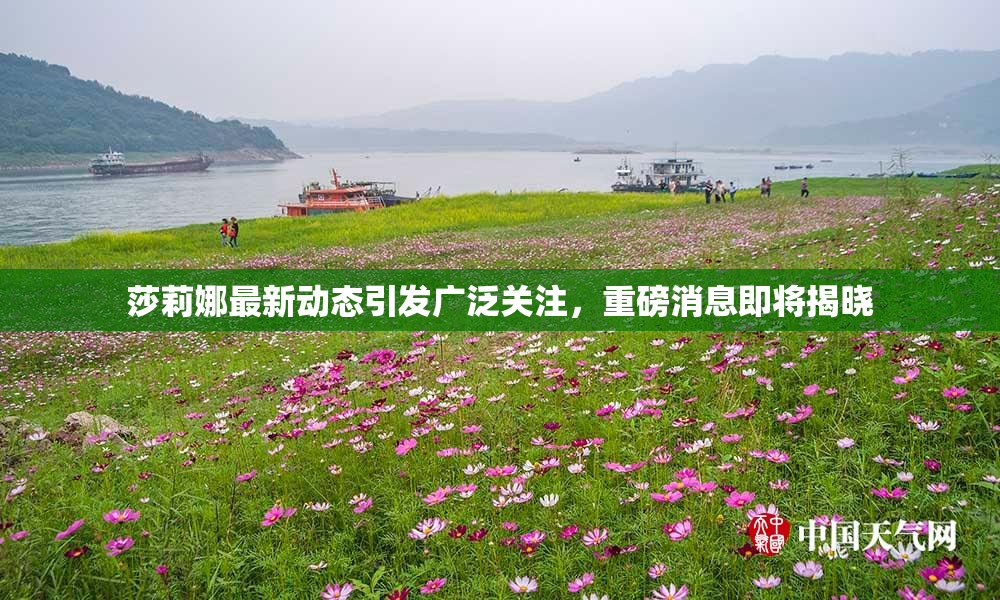 莎莉娜最新动态引发广泛关注，重磅消息即将揭晓