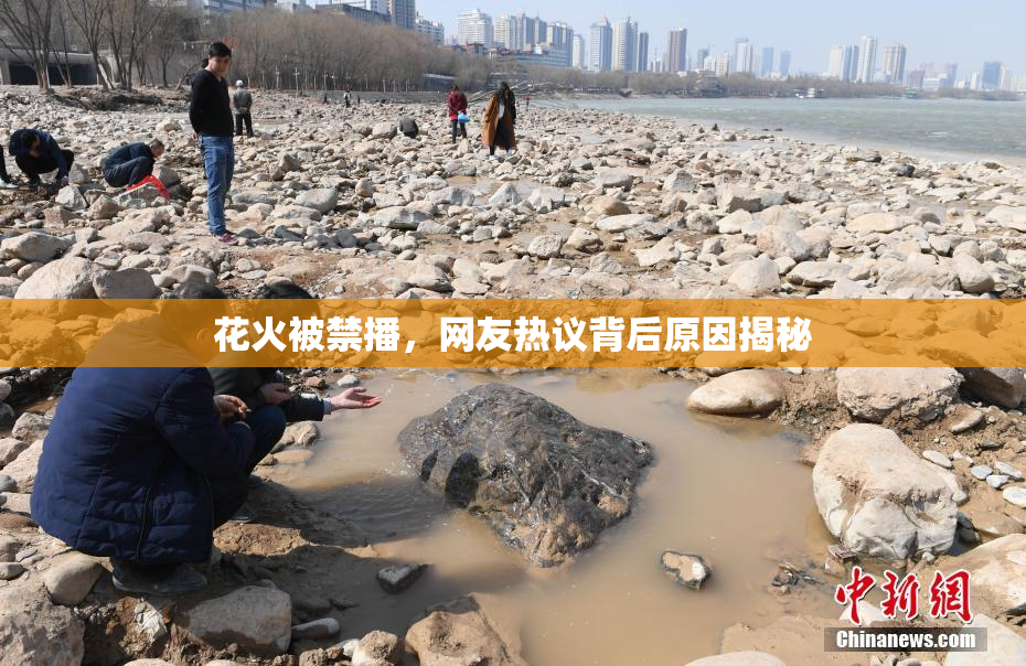 花火被禁播，网友热议背后原因揭秘