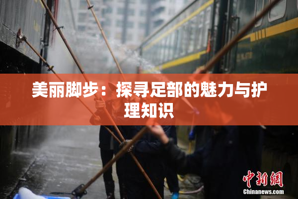 美丽脚步：探寻足部的魅力与护理知识