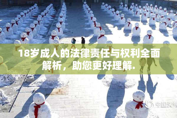 18岁成人的法律责任与权利全面解析，助您更好理解.