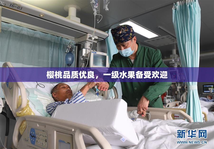 樱桃品质优良，一级水果备受欢迎