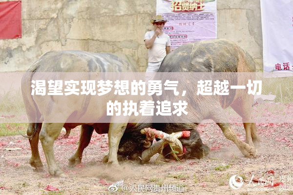 渴望实现梦想的勇气，超越一切的执着追求