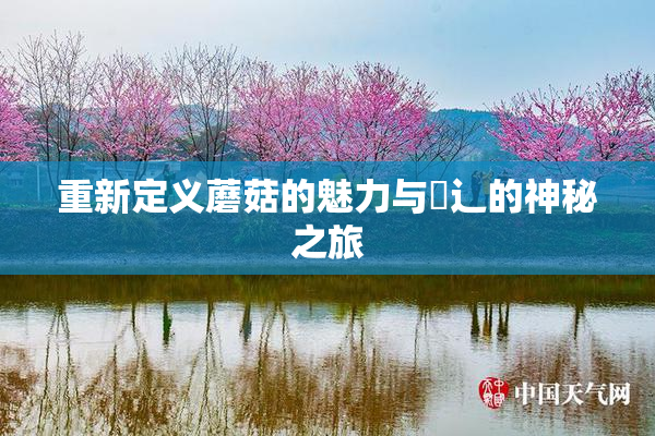 重新定义蘑菇的魅力与喿辶的神秘之旅