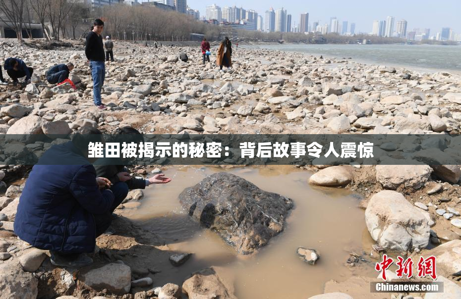 雏田被揭示的秘密：背后故事令人震惊