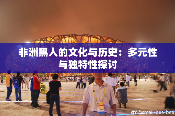 非洲黑人的文化与历史：多元性与独特性探讨