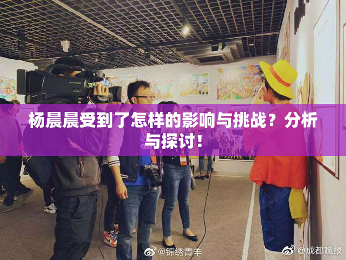 杨晨晨受到了怎样的影响与挑战？分析与探讨！
