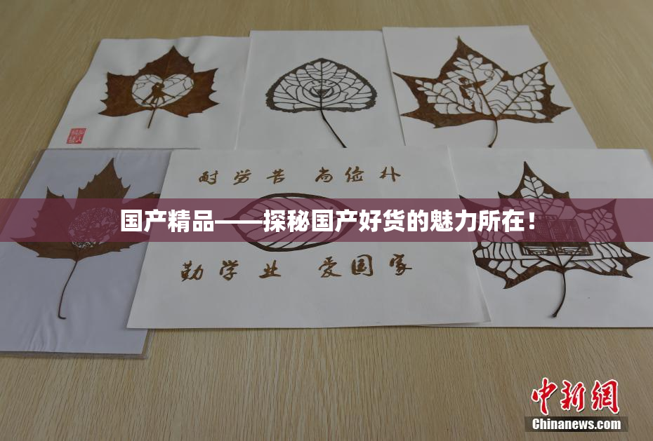 国产精品——探秘国产好货的魅力所在！