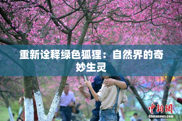 重新诠释绿色狐狸：自然界的奇妙生灵