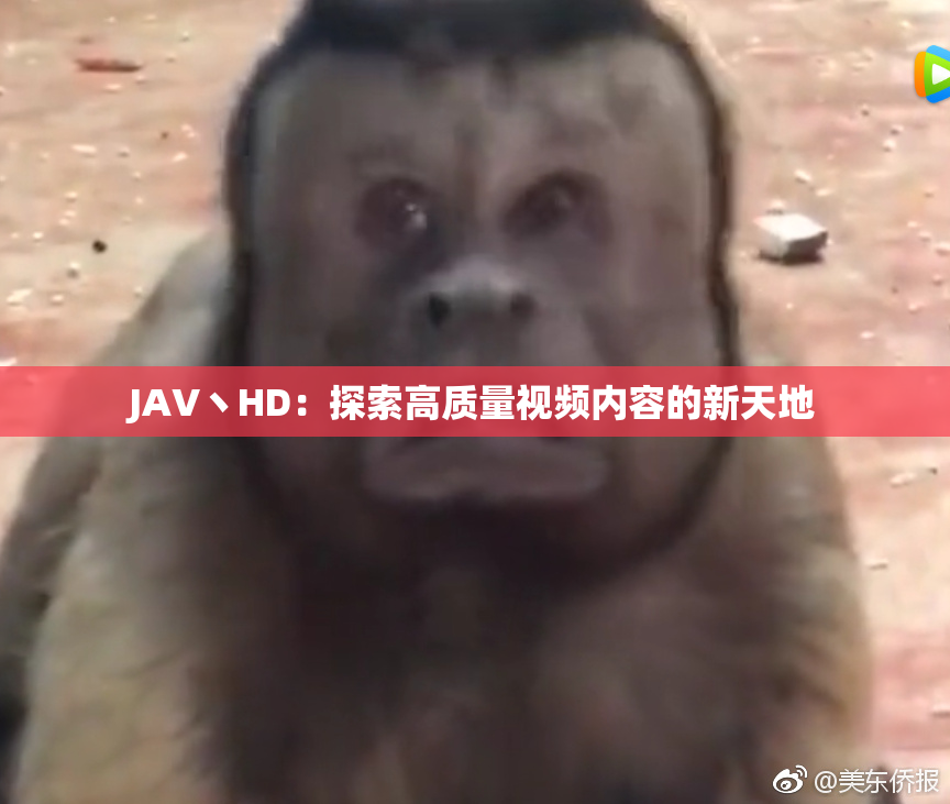 JAV丶HD：探索高质量视频内容的新天地