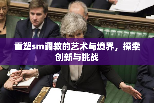 重塑sm调教的艺术与境界，探索创新与挑战