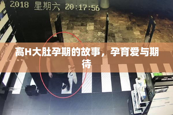 高H大肚孕期的故事，孕育爱与期待
