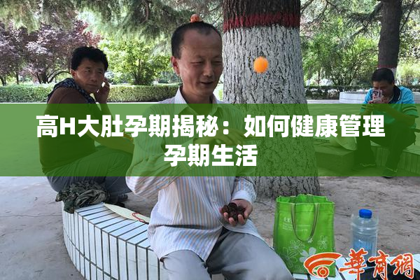 高H大肚孕期揭秘：如何健康管理孕期生活