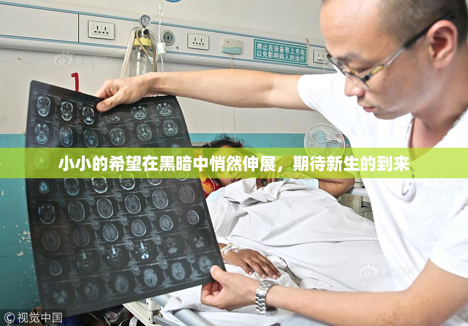 小小的希望在黑暗中悄然伸展，期待新生的到来