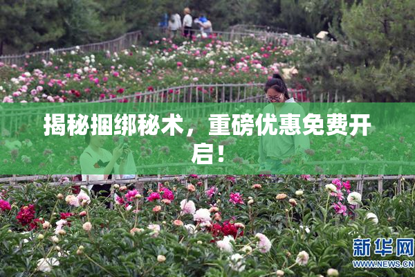 揭秘捆绑秘术，重磅优惠免费开启！