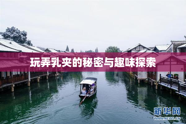 玩弄乳夹的秘密与趣味探索