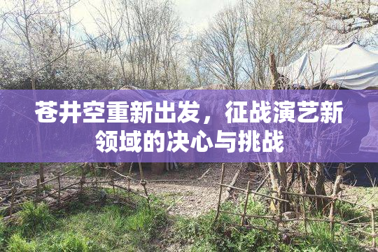 苍井空重新出发，征战演艺新领域的决心与挑战