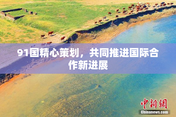 91国精心策划，共同推进国际合作新进展
