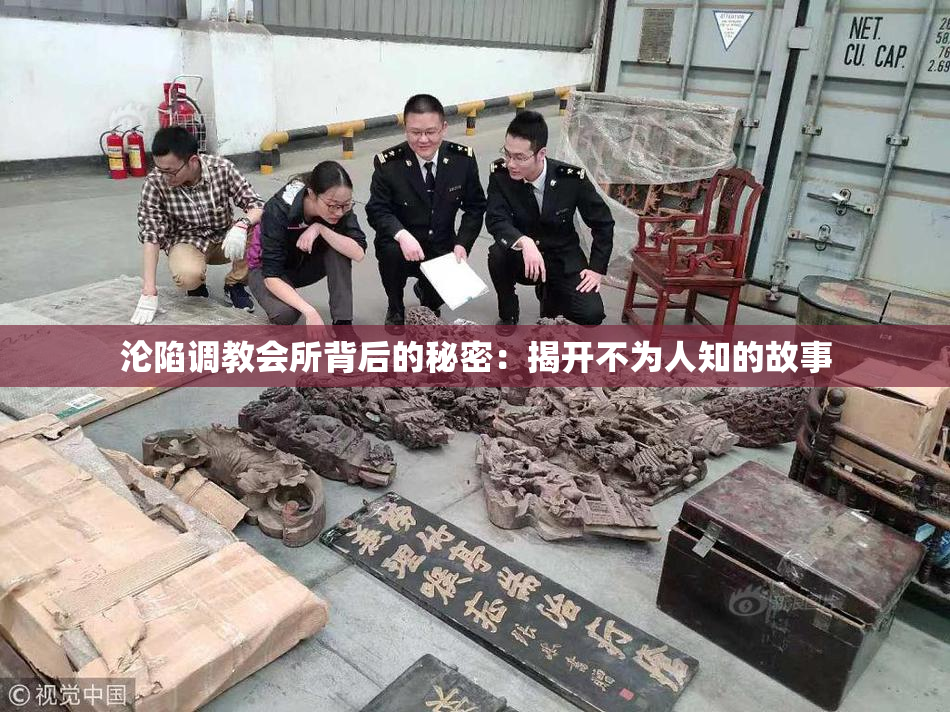 沦陷调教会所背后的秘密：揭开不为人知的故事
