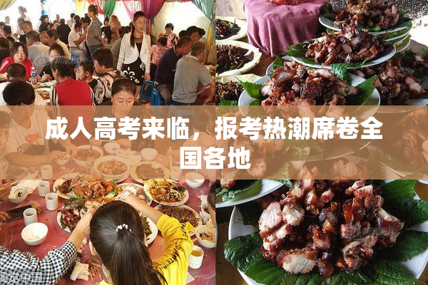 成人高考来临，报考热潮席卷全国各地