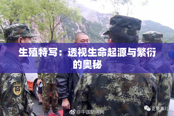 生殖特写：透视生命起源与繁衍的奥秘