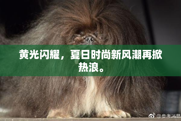黄光闪耀，夏日时尚新风潮再掀热浪。