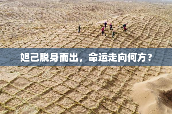 妲己脱身而出，命运走向何方？