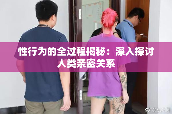 性行为的全过程揭秘：深入探讨人类亲密关系