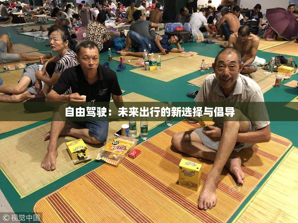 自由驾驶：未来出行的新选择与倡导