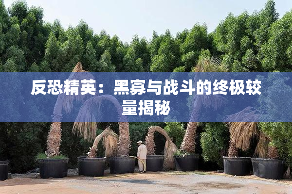 反恐精英：黑寡与战斗的终极较量揭秘