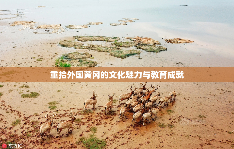 重拾外国黄冈的文化魅力与教育成就