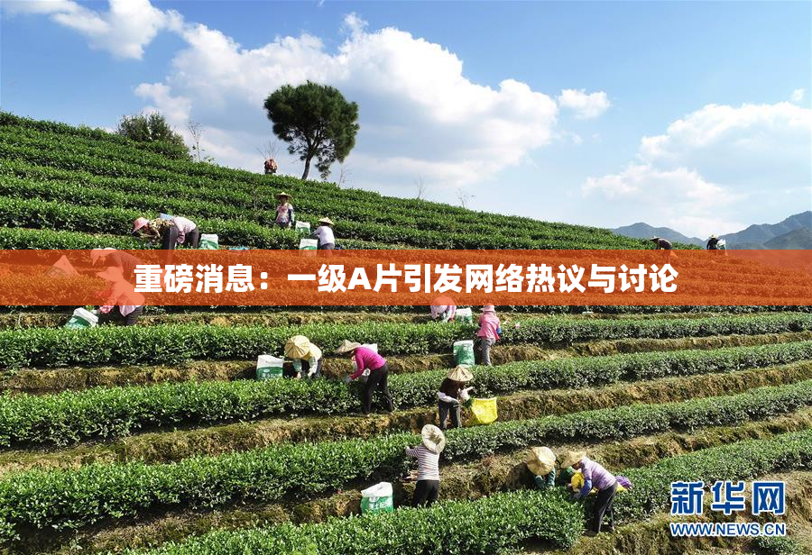 重磅消息：一级A片引发网络热议与讨论