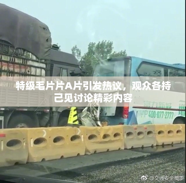 特级毛片片A片引发热议，观众各持己见讨论精彩内容