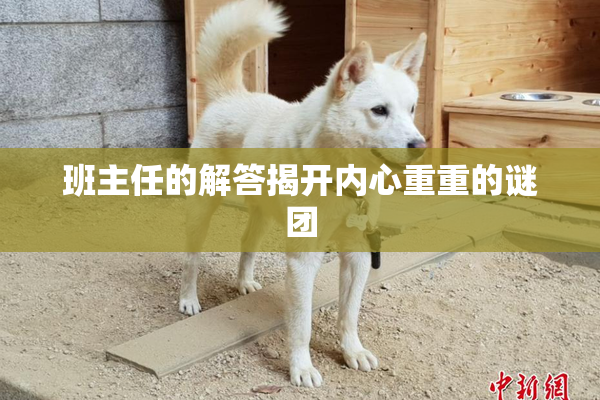 班主任的解答揭开内心重重的谜团