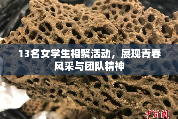13名女学生相聚活动，展现青春风采与团队精神