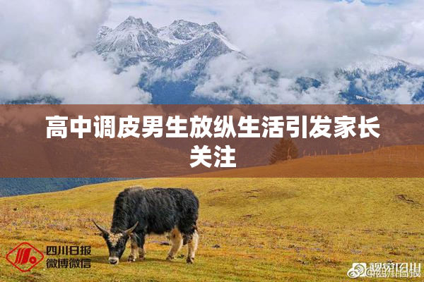 高中调皮男生放纵生活引发家长关注
