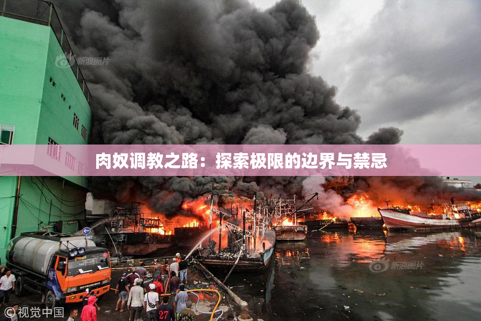 肉奴调教之路：探索极限的边界与禁忌