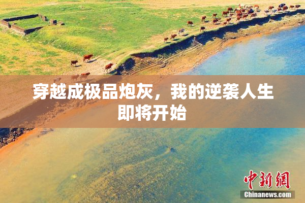 穿越成极品炮灰，我的逆袭人生即将开始