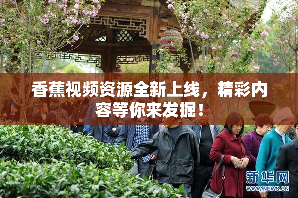 香蕉视频资源全新上线，精彩内容等你来发掘！