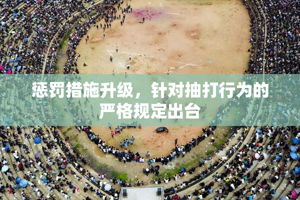 惩罚措施升级，针对抽打行为的严格规定出台